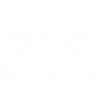 Ability Orisa Protective Barrier.png