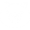 Ability-Roadhog4.png