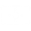 Ability-reinhardt2.png