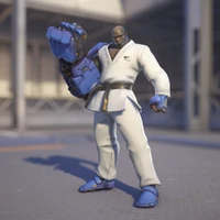 Doomfist Skin Karate