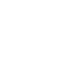Icon-ability.sprint.png
