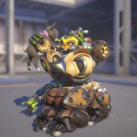 Orisa VP Puppy