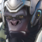 Icon-Winston.png