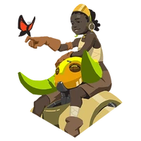Spray Orisa Companions