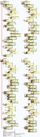 Basic Catus Mutation Chart (updated in 04/2020)