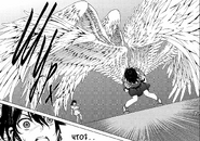 Крылья Юи вырастают