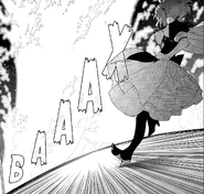 Иллюзия Госи