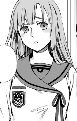 Новелла (манга)