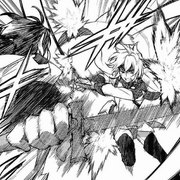 An accomplished battler