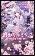 Volume 14 (Japanese)
