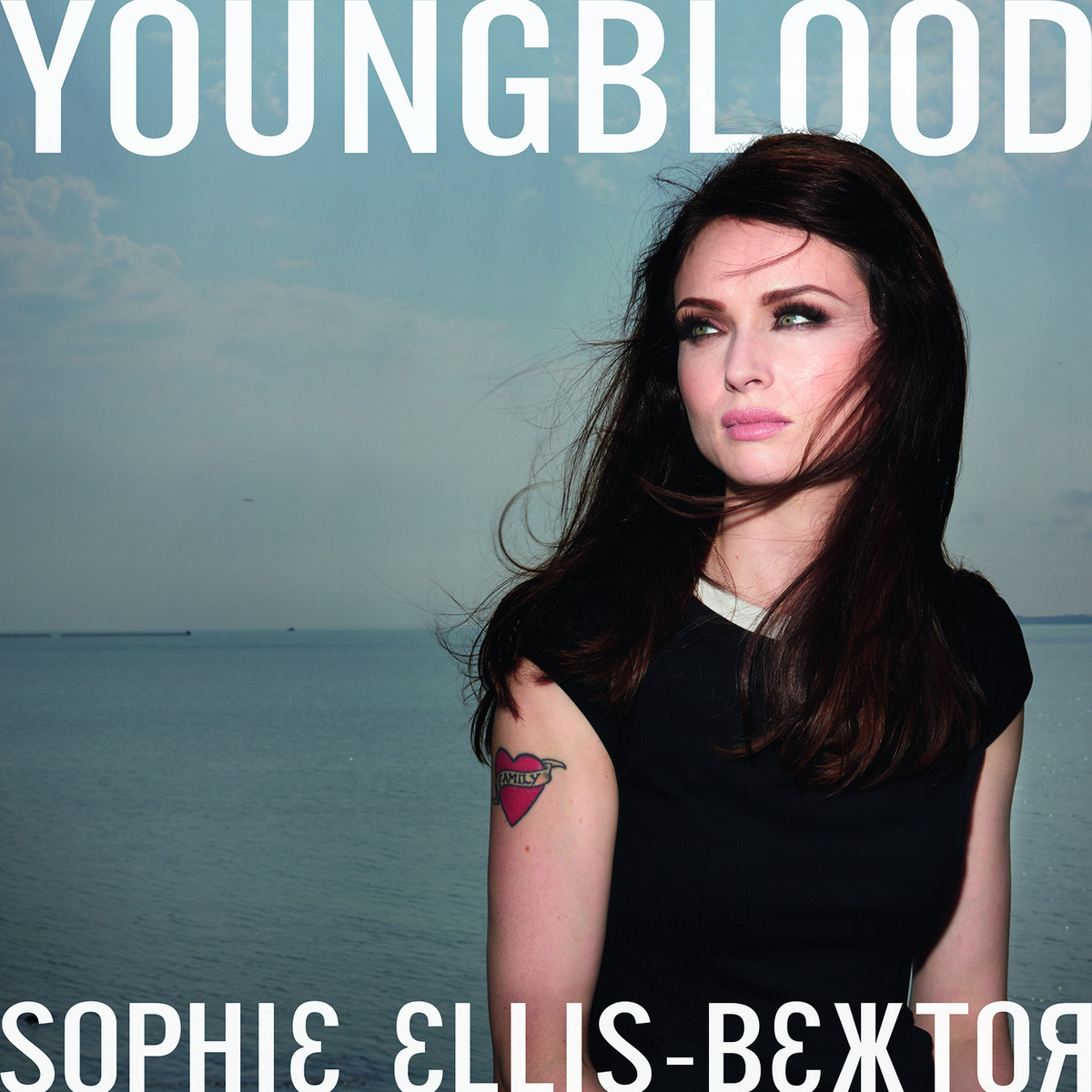 Young blood Own Eurovision Song Contest Wiki Fandom