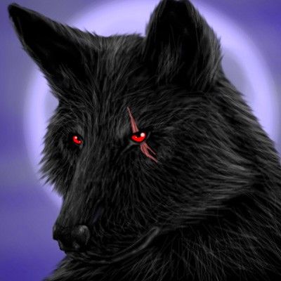 Black Wolf Commissionrequest By Direwolfwere - Mythical Wolves With Wings -  Free Transparent PNG Clipart Images Download