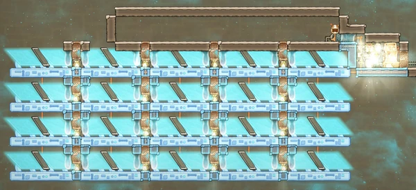 Светляки4, общий вид.jpg