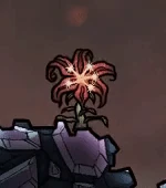 Спорхидея в естественной среде обитания