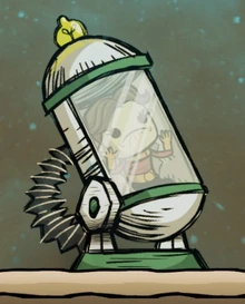 Дубликант в клинике заболеваний