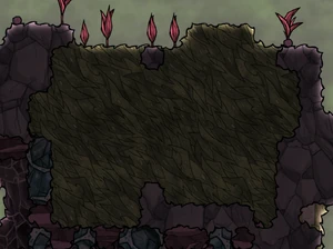 Крупные залежи водоросли в джунглях