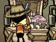 Уход за хатчем