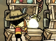 Уход за светлячком