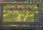 Паку стоят на месте