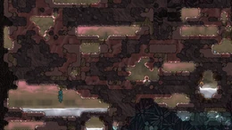 Приливные бассейны