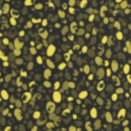 Микробы пищевого отравления