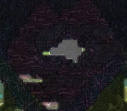 Холодные Джунгли.png (888 КБ) Холодные джунгли