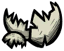 Egg Shell
