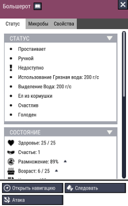 Информация о большероте