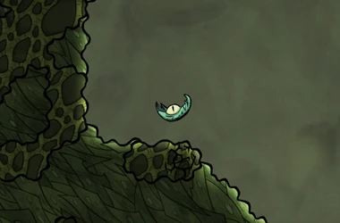 Паку вне воды