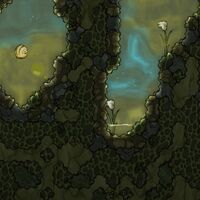 Marsh Biome