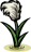 Thimble Reed