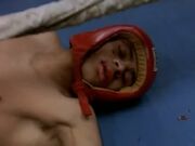 Wangler boxed