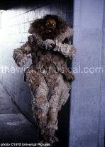 Lion monkeychase.jpg (31 KB)