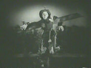 Larry Semon as Scarecrow