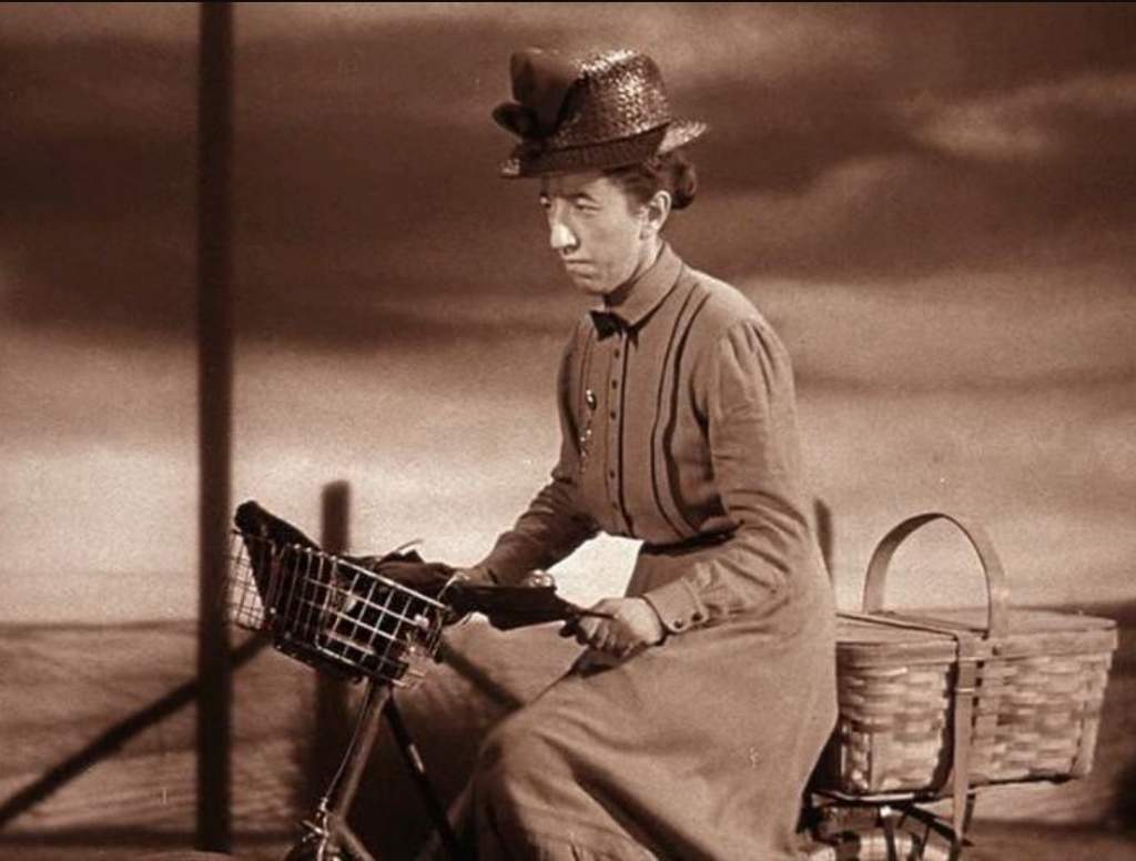 Wizard Of Oz Toto In Basket