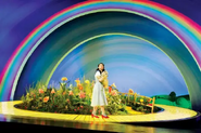 Danielle Hope on the Yellow Brick Road