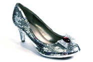 Silver Shoes