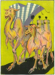 The Comfortable Camel and the Doubtful Dromedary.