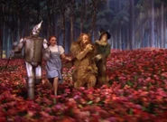 Wizardofoz-movie-screencaps.com-6367.jpg (1.32 MB)