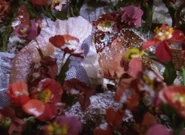 Wizardofoz-movie-screencaps.com-6571.jpg (1.27 MB)