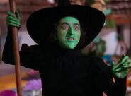 Wicked Witch of the West The Wizard of Oz (1939)