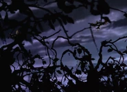 Wizardofoz-movie-screencaps.com-8848.jpg (919 KB)