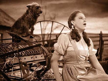 Somewhere over the rainbow - El Mago de Oz (Judy Garland) 