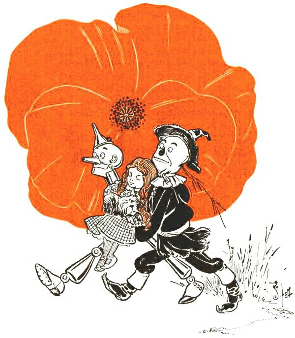 wizard of oz poppies illustration