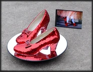 Judy-garlands-ruby-slippers-for-sale-on-ebay.jpg (94 KB)