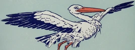 Stork