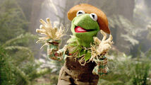 Kermit the frog as Scarecrow