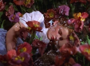 Wizardofoz-movie-screencaps.com-6550.jpg (1.21 MB)