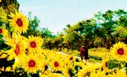 Tumblr mjey4f29tX1qbz8aro5 r1 250.gif
