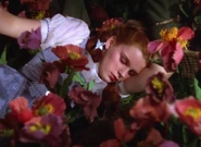 Wizardofoz-movie-screencaps.com-6499.jpg (1.1 MB)